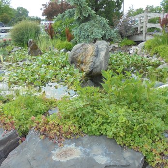 Gertens - Pond display. - Nurseries & Gardening Near Me - Inver Grove Heights, Minnesota