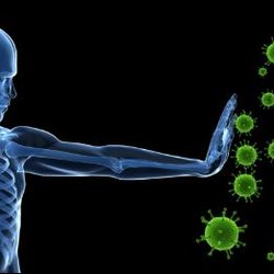 Integrative Medical Associates - We treat autoimmune disorders.