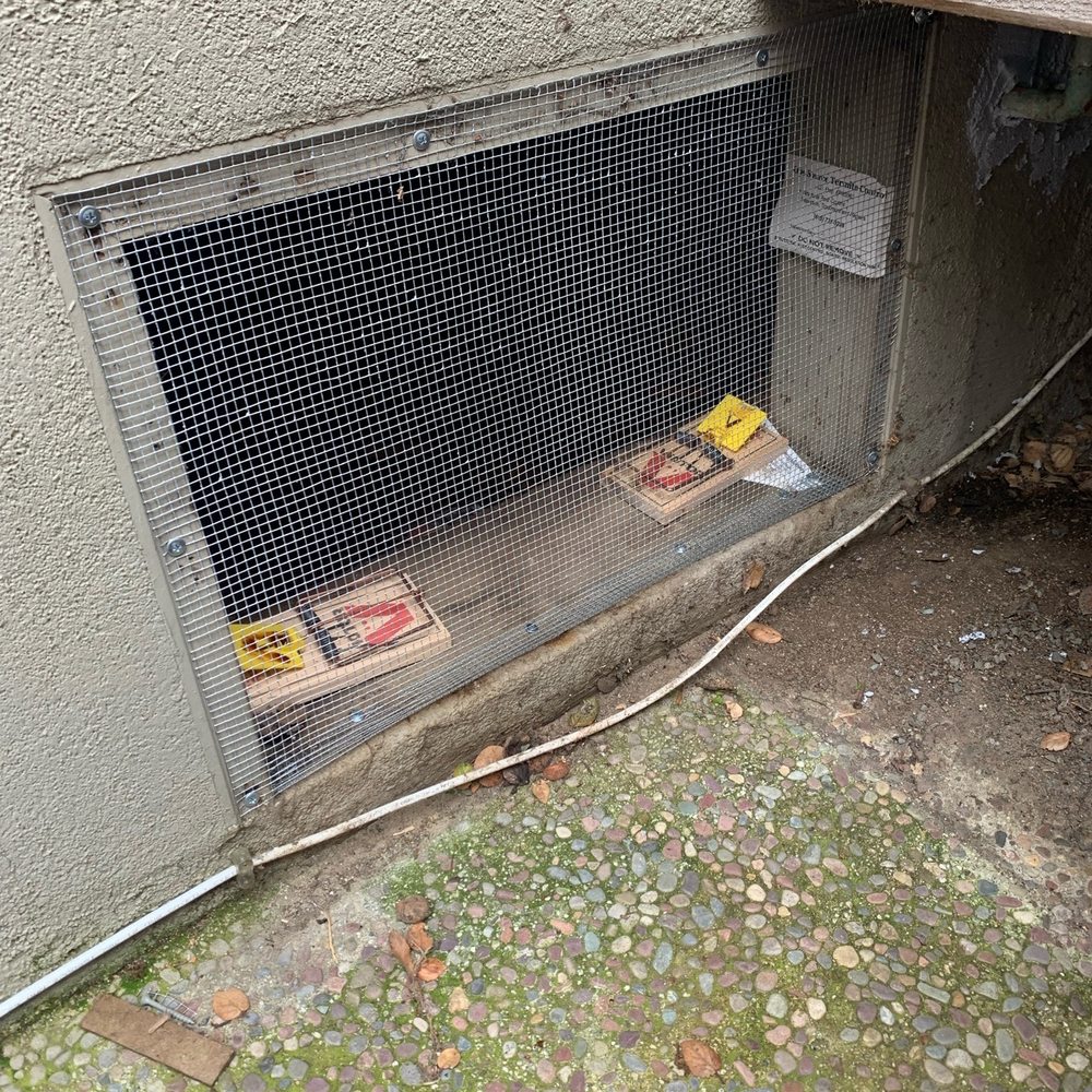 Intech Pest Control - Pest Control Near Me - Hayward, California Intech Pest Control - Pest Control Near Me - Hayward, California