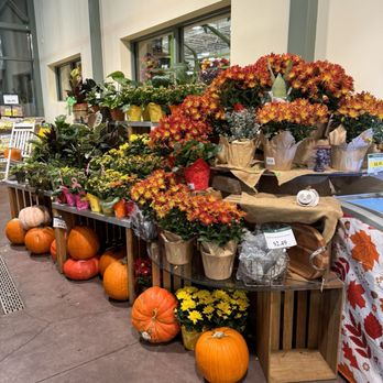 Lowes Foods - Grocery Near Me - Clemmons, North Carolina