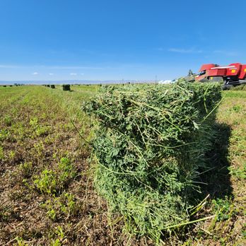 KW Farms Hay - Farms Near Me - Wapato, Washington KW Farms Hay - Farms Near Me - Wapato, Washington