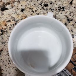 Dirty dishes that they put back in the cupboard Dirty dishes that they put back in the cupboard