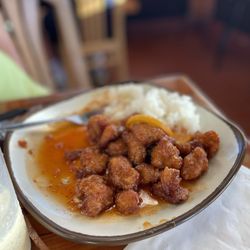 Speed Bowl - Orange Chicken