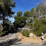 Photo of Tree of Life Landscaping