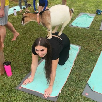 808 Goat Yoga - Yoga Near Me - Kilauea, Hawaii