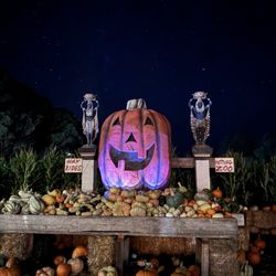 Arata's Pumpkin Farm