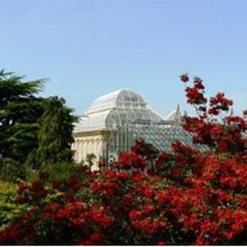 Royal Botanic Garden Edinburgh - Photo from rbge.co.uk - Botanical Gardens Near Me - Edinburgh, EDH Royal Botanic Garden Edinburgh - Photo from rbge.co.uk - Botanical Gardens Near Me - Edinburgh, EDH