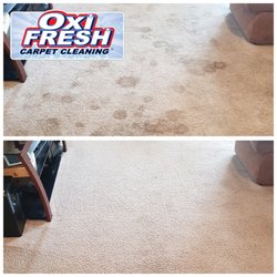 Oxi Fresh Carpet Cleaning