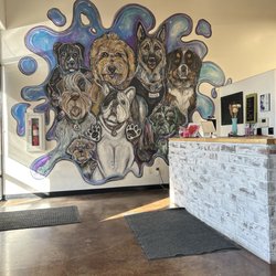 Dog Father Groomery - Lobby area
