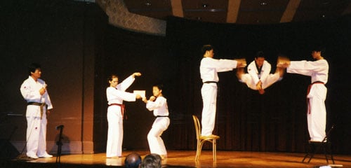 SH Kim Tae Kwon Do Logo