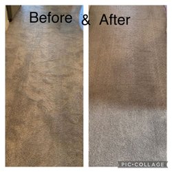 Any Carpet Cleaning