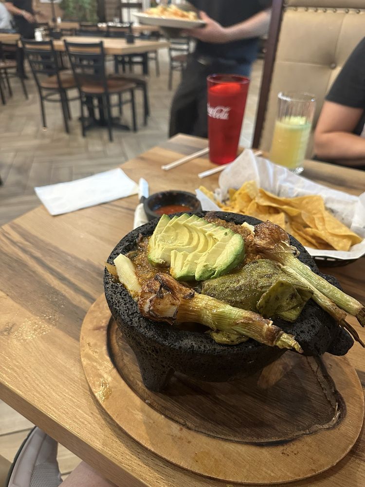 Casa Agave Metro Center