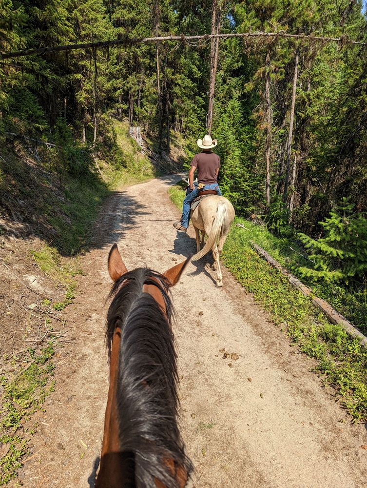 HIDALGO TRAIL RIDES Updated August 2024 34 Photos 3874 Quartz Ln