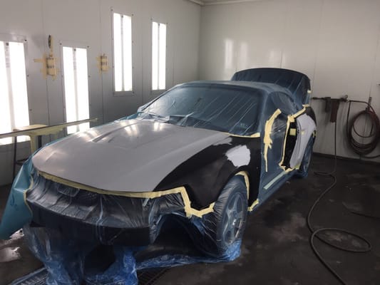 Venice Auto Body & Painting Specialists Inc by null