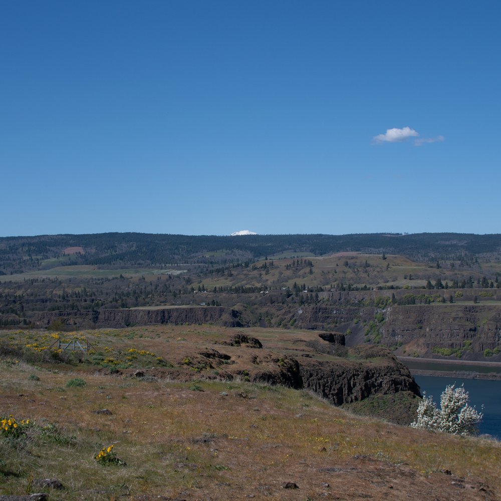 Rowena Crest - I believe that's the tip of Mt Adams but might be Mt. St. Helens - Landmarks & Historical Buildings Near Me - Mosier, Oregon Rowena Crest - I believe that's the tip of Mt Adams but might be Mt. St. Helens - Landmarks & Historical Buildings Near Me - Mosier, Oregon