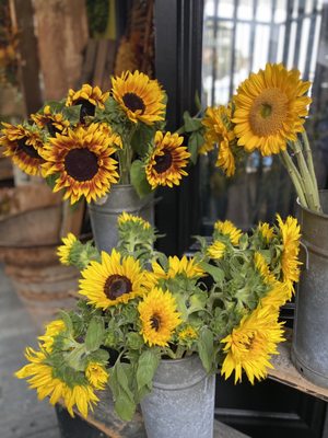 Haute Cakes Caffe by null