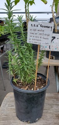 Vista Farmers Market by null