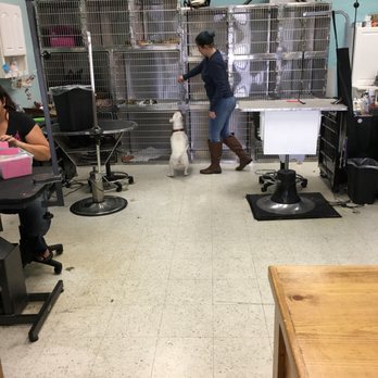 Mountainview Pet Boutique - Pet Groomers Near Me - Lake Elsinore, California Mountainview Pet Boutique - Pet Groomers Near Me - Lake Elsinore, California