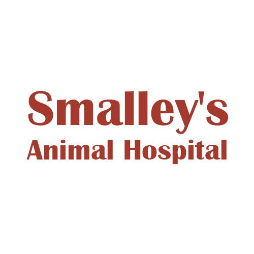 SMALLEY’S ANIMAL HOSPITAL Updated September 2024 600 E Jackson St