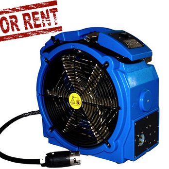 Bed Bugs Florida - Pest Control Near Me Bed Bugs Florida - Pest Control Near Me