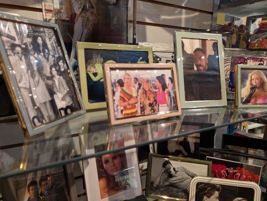 Delphinium Home by null