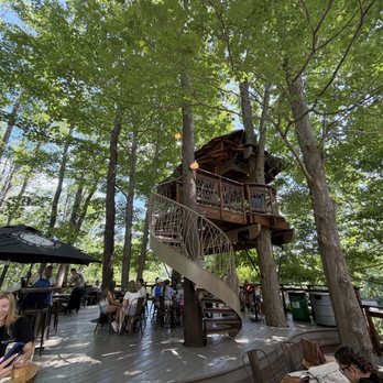 The Blueberry Treehouse Farm - Pick Your Own Farms Near Me - West Falls, New York