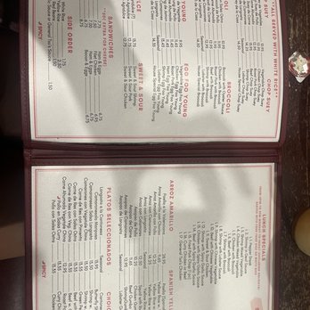 New Apollo - Menu - Chinese Near Me - Brooklyn, New York