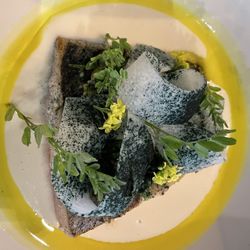Malva - Pesca del día - fish in a jícama sauce and oil broth