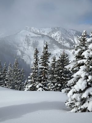 Alta Ski Area by null