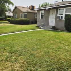 Lazcano Property Maintenance - Lawn care