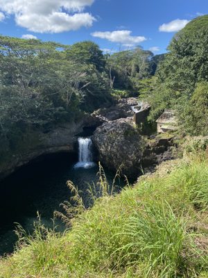 O.K. Farms Hawai'i by null
