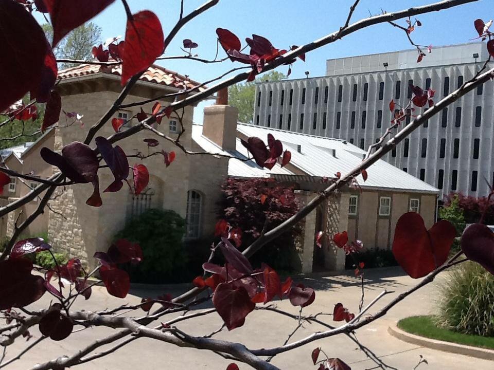 TULSA BROW SHAPES Updated October 2024 2442 E 21st St, Tulsa