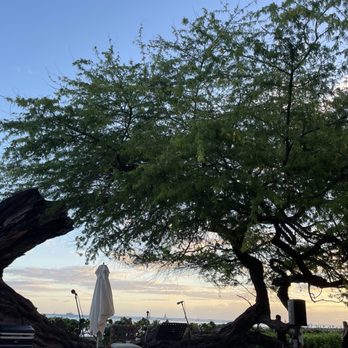 House Without A Key - Seafood Near Me - Honolulu, Hawaii