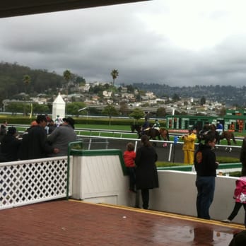 golden gate fields turf club dress code GOLDEN GATE FIELDS RACETRACK - CLOSED - Updated July 2026 - 917 Photos & 466 Reviews - 1100 Eastshore Hwy, Berkeley, California - Stadiums & Arenas - Phone Number