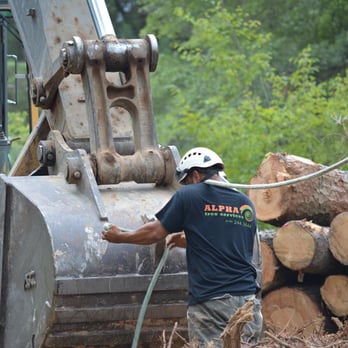 Alpha Tree Services - Tree Services Near Me Alpha Tree Services - Tree Services Near Me