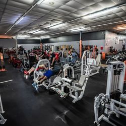 House Of Gainz