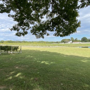 Woodbine Vineyard - a view of the vineyard from the back yard - Wineries Near Me - Buffalo Junction, Virginia Woodbine Vineyard - a view of the vineyard from the back yard - Wineries Near Me - Buffalo Junction, Virginia