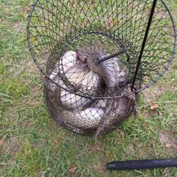 Big Ernie's Bait & Tackle