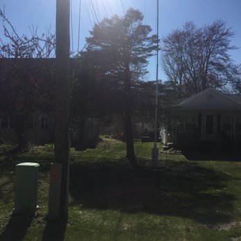 Maple Falls - Before - Tree Services Near Me