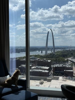 Four Seasons Hotel St. Louis by null