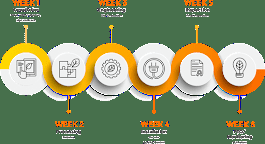 Slide of Shneyder Solar