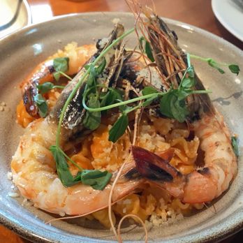 Sofia - Alla Vodka with Shrimp - Italian Near Me - New Orleans, Louisiana