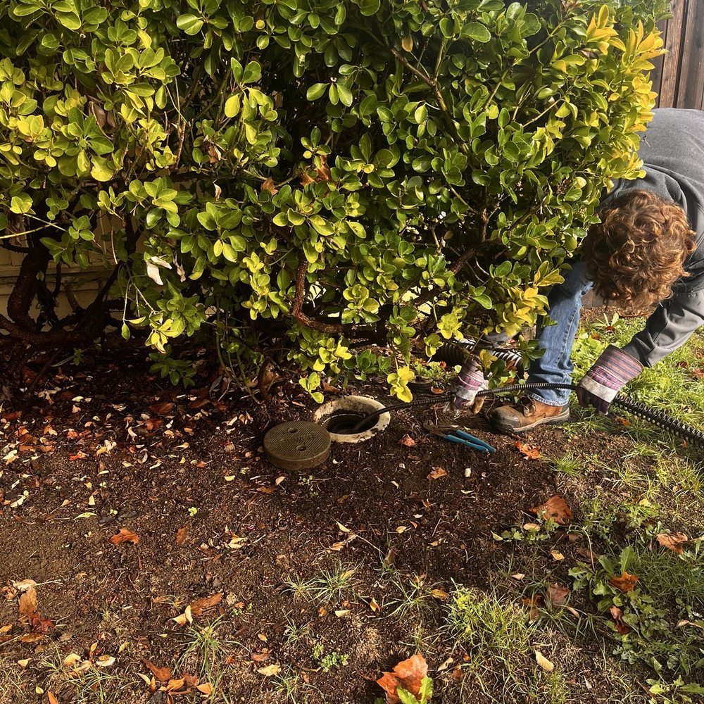 TOP 10 BEST Grease Trap in Vallejo, CA - Updated 2026 - Yelp