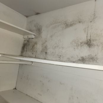 One Call Services Water Damage Experts - Mold im closet from a water damage coming from the exterior wall. - Damage Restoration Near Me - Mountain View, California One Call Services Water Damage Experts - Mold im closet from a water damage coming from the exterior wall. - Damage Restoration Near Me - Mountain View, California
