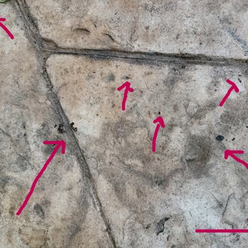 Erics Home Renovation - Random drops of stain  on the concrete patio. - General Contractors Near Me