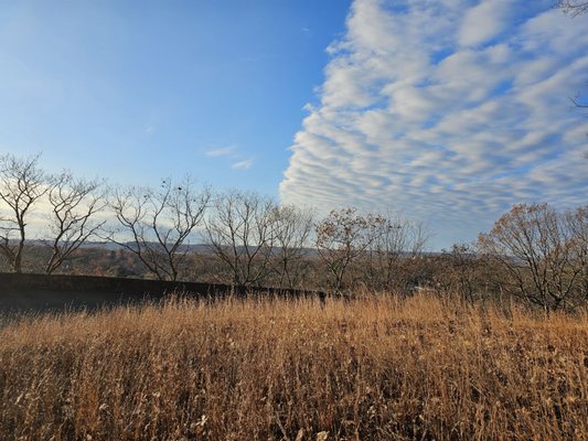 East Rock Park by null