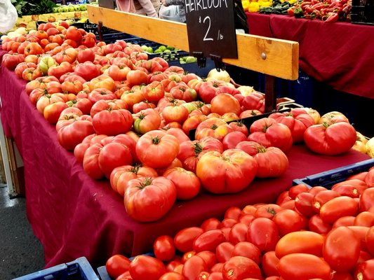 Hollywood Farmers Market by null