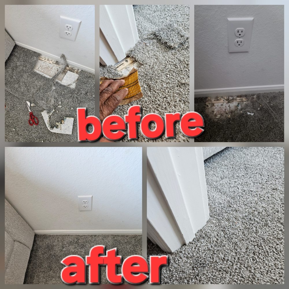 National Floors Werribee - Reviews, Photos \u0026 Phone Number - Updated January  2026 - Furniture Stores in Wyndham, Australia - Wheree, image size:1000x1000