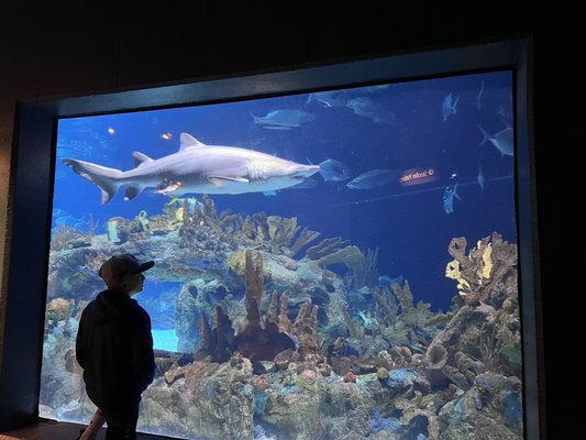 Minnesota Zoo by null