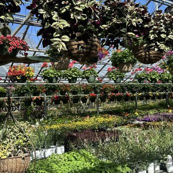 Bemis Upland Springs Floral - Greenhouse - Florists Near Me - Adell, Wisconsin Bemis Upland Springs Floral - Greenhouse - Florists Near Me - Adell, Wisconsin